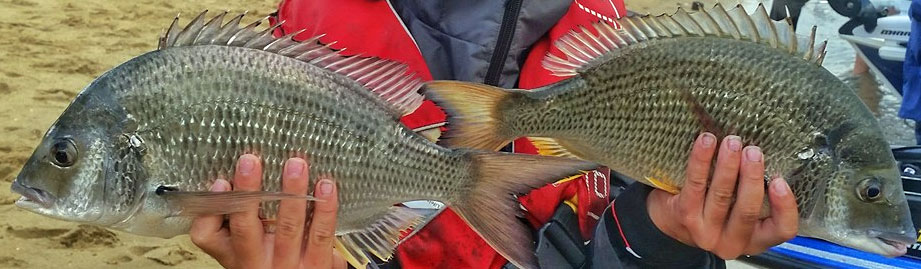 Winter Bream Fishing